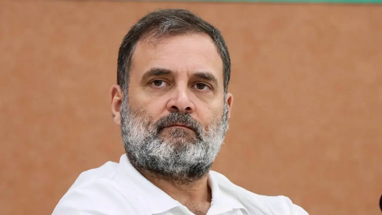 Rahul Gandhi. Pic/PTI